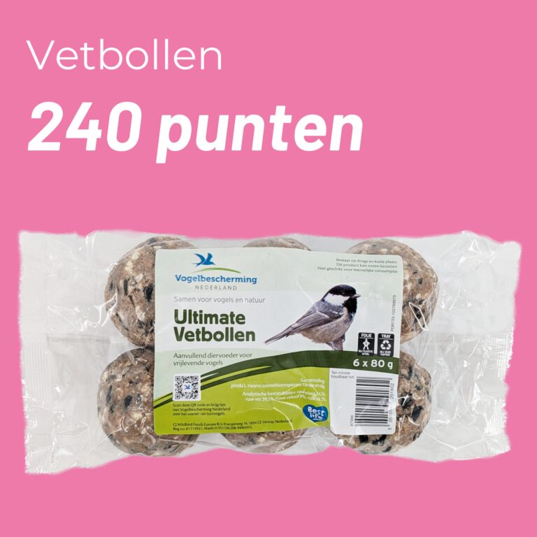 Vetbollen