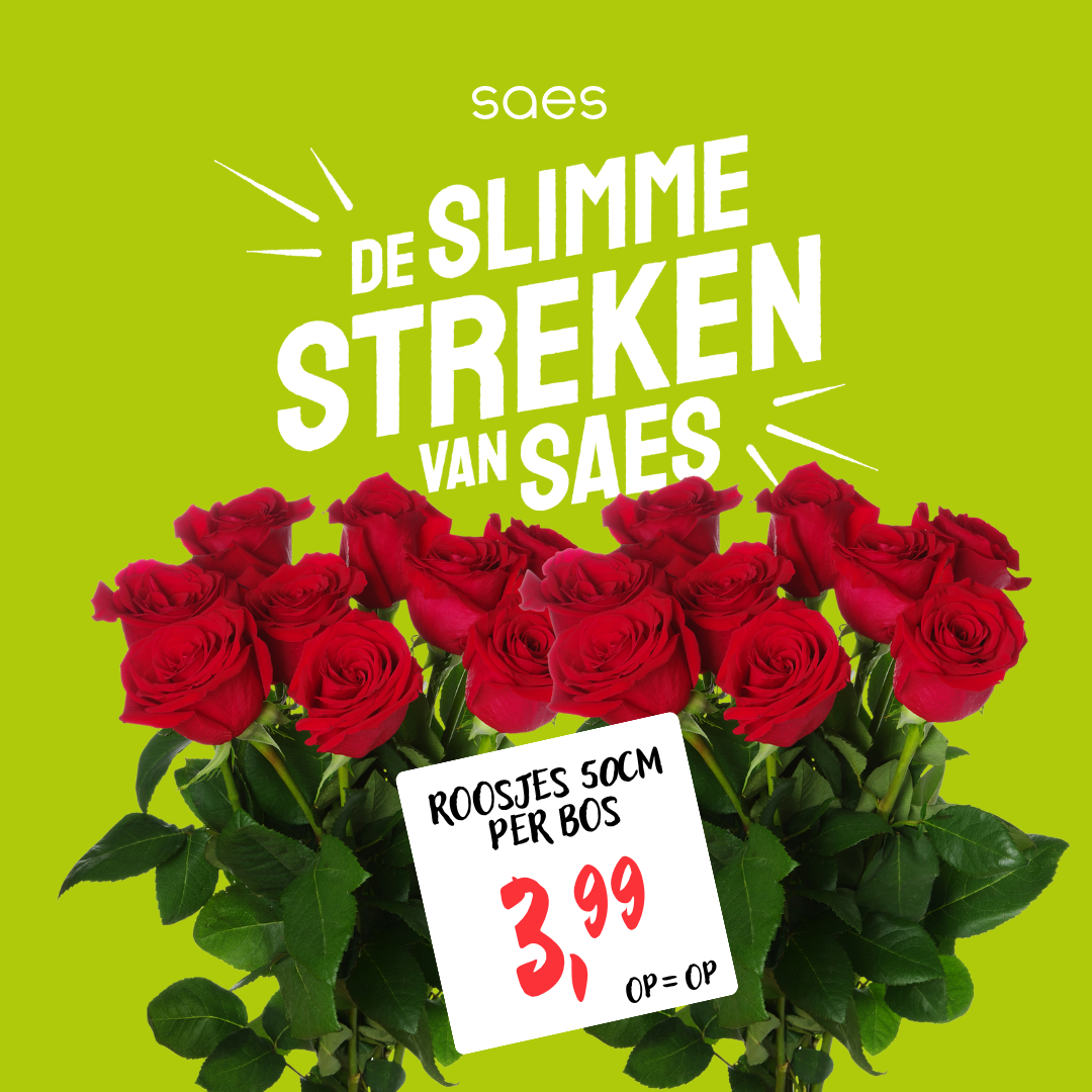 Nonfood Voorraad - Rozen