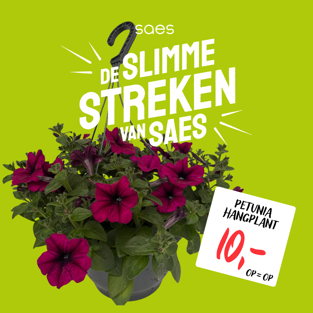 Nonfood Voorraad - PETUNIA-2