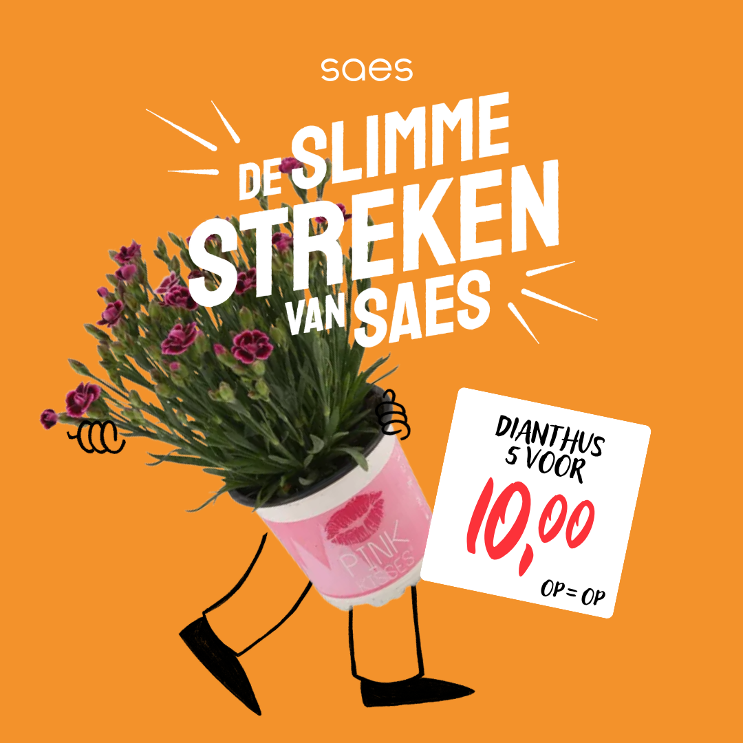Nonfood Voorraad - Perkplanten