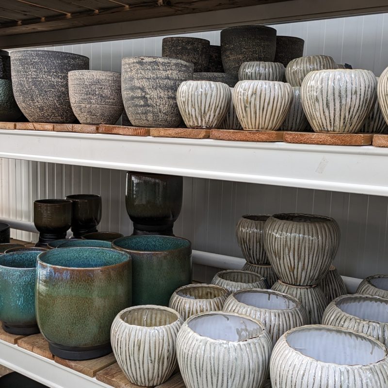 assortiment kamerplanten4